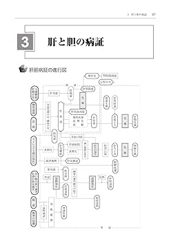 わかりやすい臨床中医臓腑学　他計7冊 わかりやすい 臨床中医臓腑学 第4版 | 王 財源 |本 | 通販 | Amazon